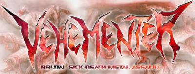 logo Vehementer (COL)